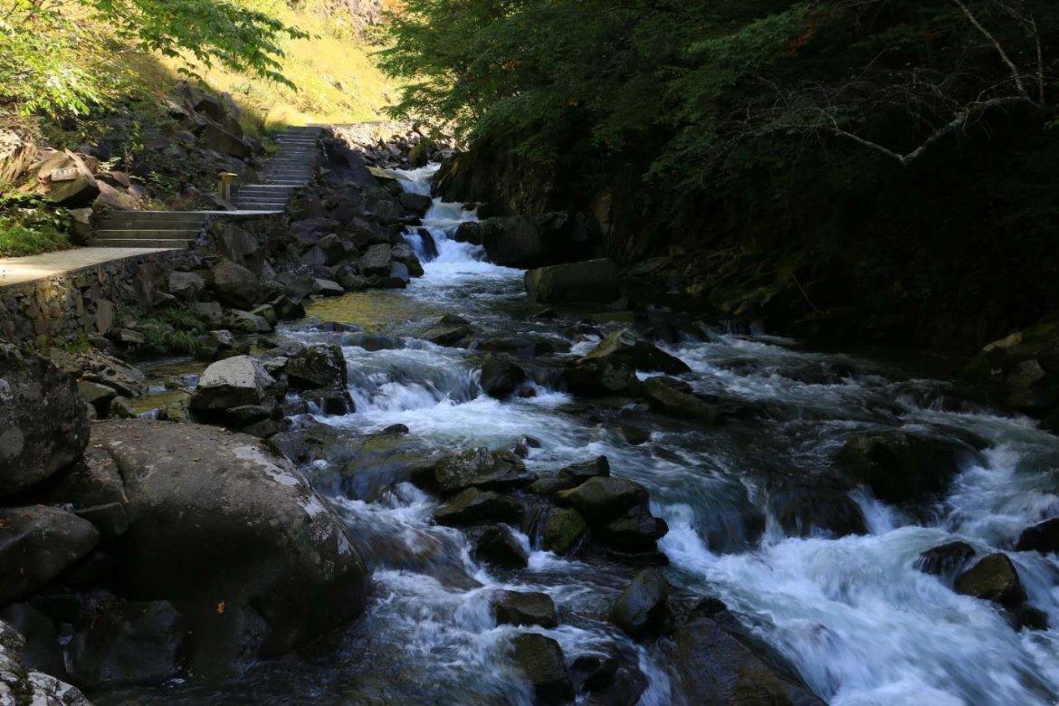 大老虎在水里泡澡，还抱住球防止自己沉下去